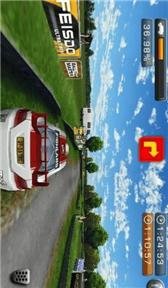 game pic for Rally Master pro